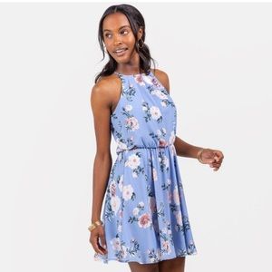 Francesca’s Oxford Blue Floral Halter Dress Size Small